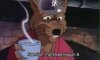 FB_IMG_1465841312235.jpg