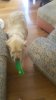 20170315_115229.jpg