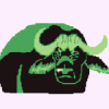 buffavi2.gif