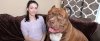 pit_bull.jpg