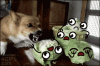 1467866406447.gif