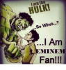 i-am-the-so-what-i-am-eminem-fan-18789162.png