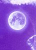 upload_2022-2-21_16-52-17.jpeg