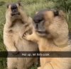 IMG_4172.jpeg