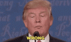 upload_2023-5-4_23-40-18.gif