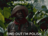 upload_2023-9-7_21-57-50.gif
