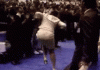 upload_2023-9-12_18-35-10.gif