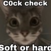 IMG_4327.jpeg