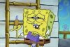 IMG_3292.jpeg