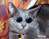upload_2015-12-11_19-56-49.png