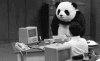 upload_2024-5-30_8-52-18.gif