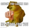 IMG_6032.jpeg