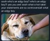 IMG_6515.jpeg