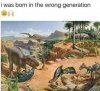 IMG_4484.jpeg