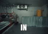 IMG_7175.gif
