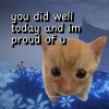 IMG_8455.jpeg