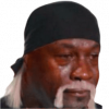 hogan.png