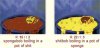 IMG_2759.jpeg