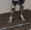 IMG_2719.jpeg