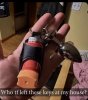 IMG_3508.jpeg