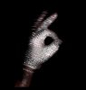 IMG_3560.jpeg