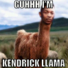 lamaa.png