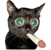 trippyskippy.png