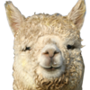1332_1448837285.png