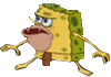 :cavesponge: